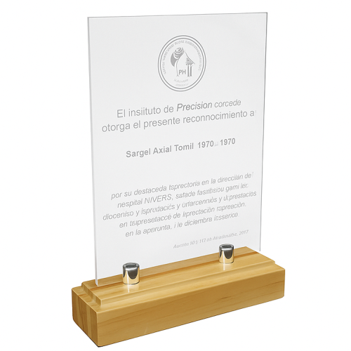 Placa 1